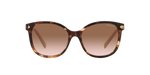 07R0A6 - Caramel Tortoise / Brown Gradient