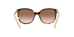 07R0A6 - Caramel Tortoise / Brown Gradient