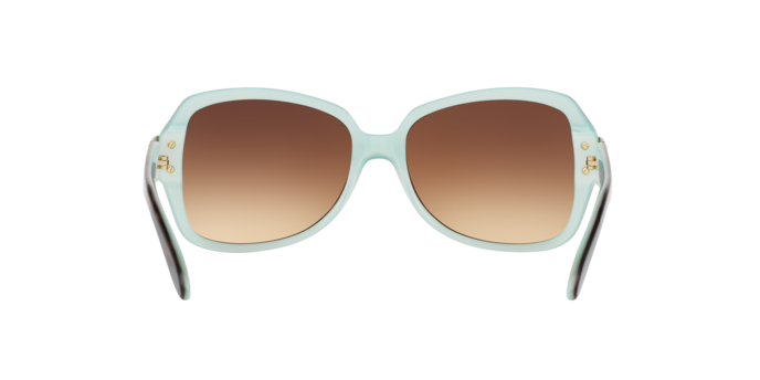 601/13 - Havana / Gradient Brown