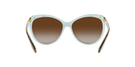 601/3B - Havana On Acquamarine / Gradient Brown