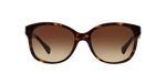 137813 - Dark Havana / Gradient Brown
