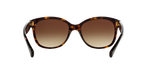 137813 - Dark Havana / Gradient Brown