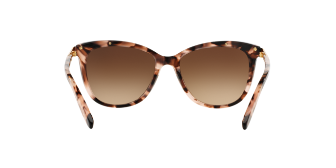 146313 - Pink Tortoise / Brown Gradient