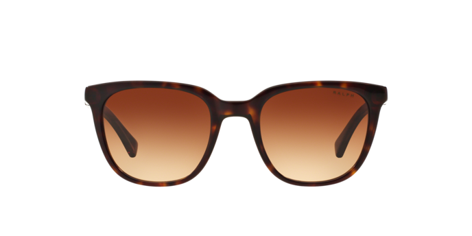 137813 - Shiny Dark Havana / Gradient Brown