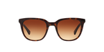 137813 - Shiny Dark Havana / Gradient Brown