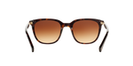 137813 - Shiny Dark Havana / Gradient Brown