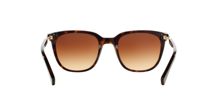 137813 - Shiny Dark Havana / Gradient Brown