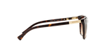 137813 - Shiny Dark Havana / Gradient Brown