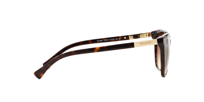 137813 - Shiny Dark Havana / Gradient Brown