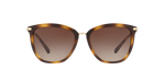 500313 - Shiny Dark Havana / Gradient Brown
