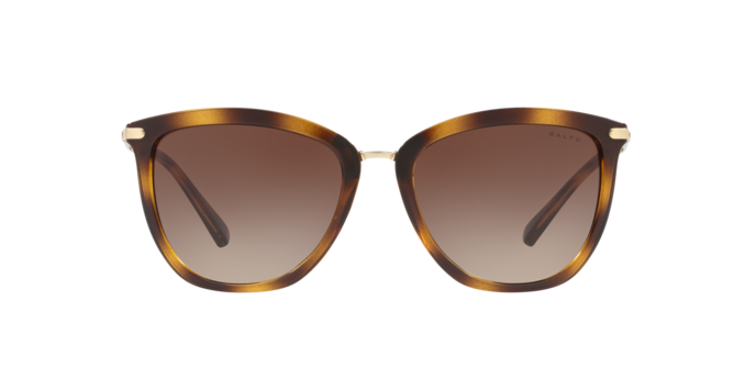 500313 - Shiny Dark Havana / Gradient Brown