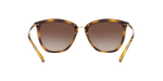 500313 - Shiny Dark Havana / Gradient Brown