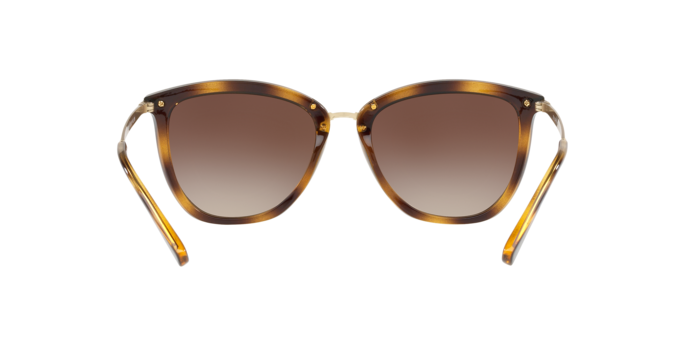 500313 - Shiny Dark Havana / Gradient Brown