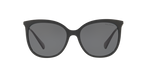 500181 - Shiny Black / Polarized Dark Grey