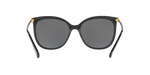 500181 - Shiny Black / Polarized Dark Grey