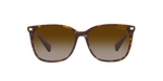 50033B - Shiny Dark Havana / Gradient Brown