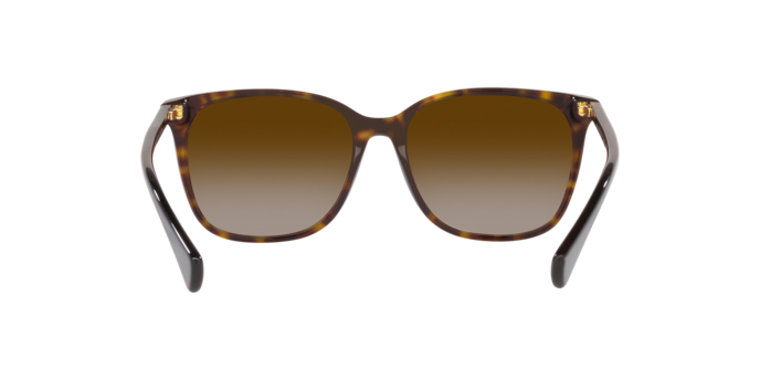 50033B - Shiny Dark Havana / Gradient Brown