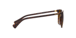 50033B - Shiny Dark Havana / Gradient Brown