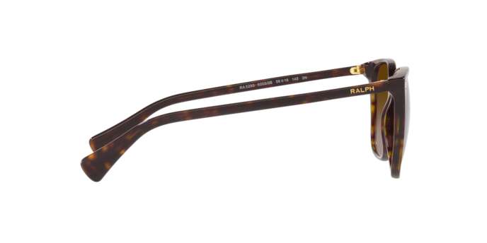 50033B - Shiny Dark Havana / Gradient Brown