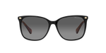 6037T3 - Shiny Black / Polarized Gradient Brown