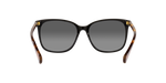 6037T3 - Shiny Black / Polarized Gradient Brown