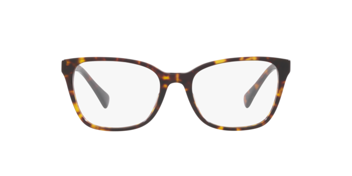 5003 - Shiny Dark Havana / Demo Lens
