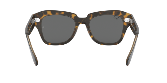 1292B1 - Havana On Transparent Brown / Dark Grey
