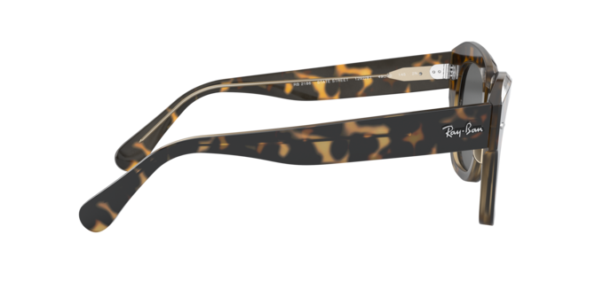 1292B1 - Havana On Transparent Brown / Dark Grey