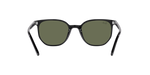 901/31 - Black / Green