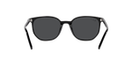 901/48 - Black / Polarized Black