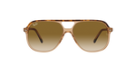 129251 - Havana On Transparent Brown / Light Brown Gradient