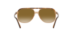 129251 - Havana On Transparent Brown / Light Brown Gradient