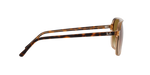 129251 - Havana On Transparent Brown / Light Brown Gradient