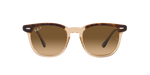 1292M2 - Havana On Transparent Brown / Brown Polarized