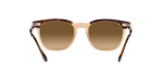 1292M2 - Havana On Transparent Brown / Brown Polarized