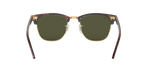 W0366 - Tortoise On Gold / G-15 Green