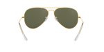 001/58 - Arista Gold / G-15 Green Polarized