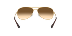 001/51 - Arista Gold / Light Brown Gradient