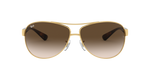 001/13 - Arista Gold / Brown Gradient