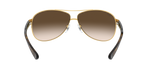 001/13 - Arista Gold / Brown Gradient