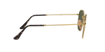 001 - Arista Gold / G-15 Green
