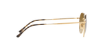 001/51 - Arista Gold / Brown