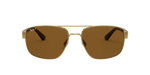 001/57 - Arista Gold / Brown Polarized