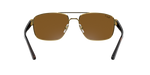 001/57 - Arista Gold / Brown Polarized