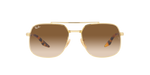 001/51 - Arista Gold / Brown