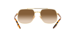 001/51 - Arista Gold / Brown