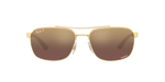 001/6B - Arista Gold / Purple & Gold Polarized+