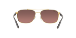 001/6B - Arista Gold / Purple & Gold Polarized+