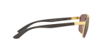 001/6B - Arista Gold / Purple & Gold Polarized+