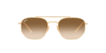 001/51 - Arista Gold / Brown